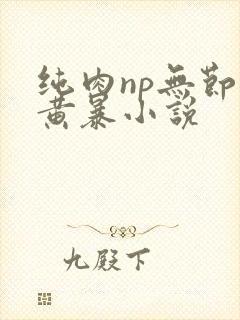 纯肉np无节操黄暴小说