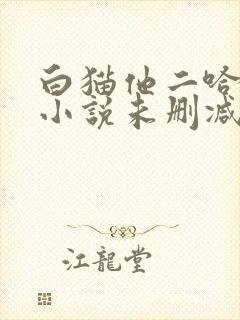 白猫他二哈师尊小说未删减