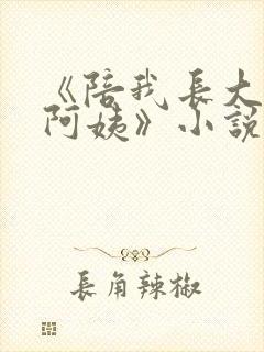 《陪我长大的曾阿姨》小说