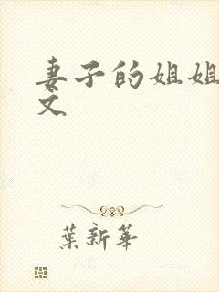 妻子的姐姐3中文封面