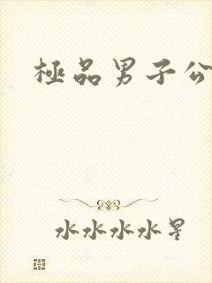 极品男子公寓封面
