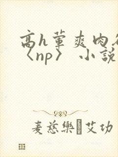 高h荤爽肉欲文〈np〉 小说