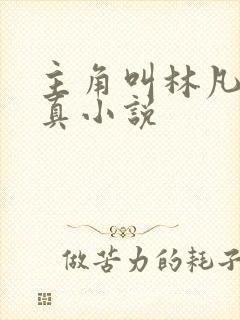 主角叫林凡的修真小说