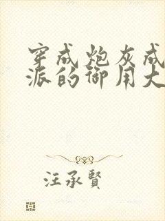 穿成炮灰成了反派的御用大师小说