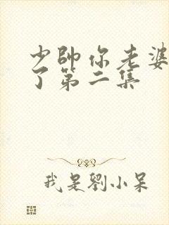 少帅你老婆又跑了第二集封面