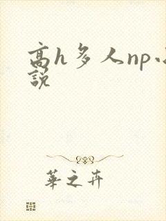 高h多人np小说