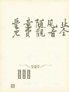 爱意随风止短剧免费观看全集高清