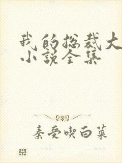 我的总裁大老婆小说全集封面
