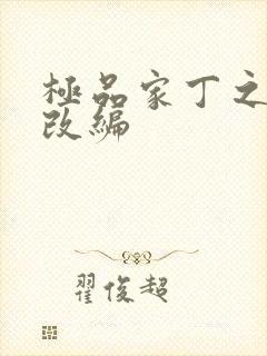 极品家丁之四季改编