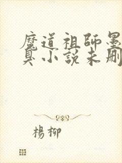 魔道祖师墨香铜臭小说未删版完整