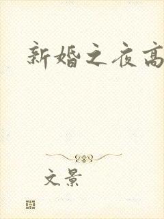 新婚之夜高潮了