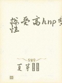 总受高hnp双性