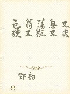 色翁荡息又大又硬又粗又爽电影