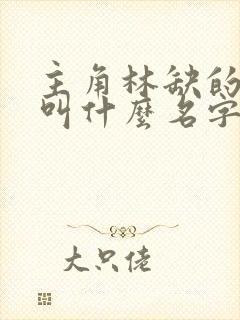 主角林缺的小说叫什么名字