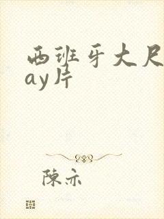 西班牙大尺度gay片