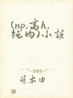 (np,高h,纯肉)小说