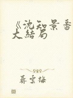《沈知景番外》大结局