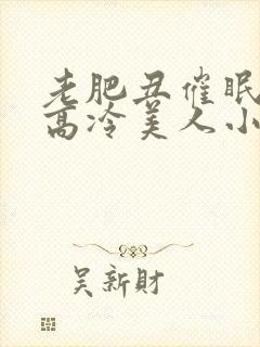 老肥丑催眠改造高冷美人小说