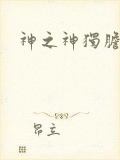 神之神独胆王封面