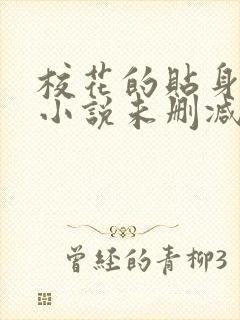 校花的贴身高手小说未删减版