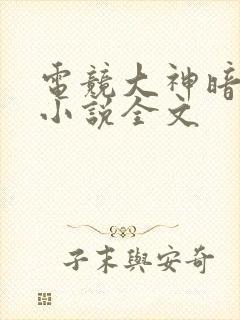 电竞大神暗恋我小说全文