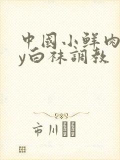 中国小鲜肉gay白袜调教封面