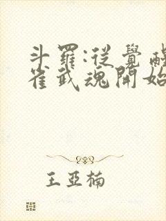 斗罗:从觉醒朱雀武魂开始封面