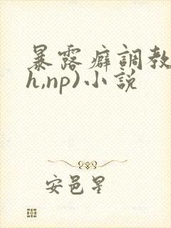 暴露癖调教(高h,np)小说