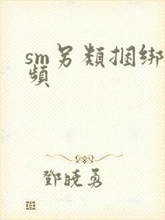 sm另类捆绑视频