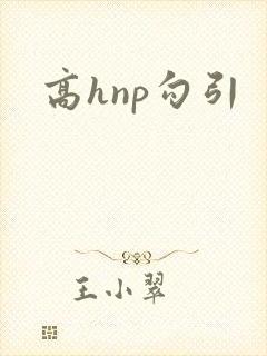 高hnp勾引