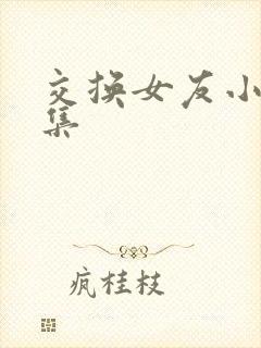 交换女友小说合集