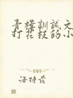 青楼训诫文青楼打花枝的小说