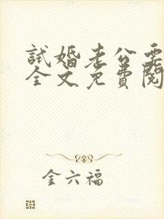 试婚老公要给力全文免费阅读全文