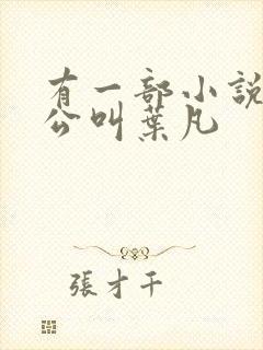 有一部小说主人公叫叶凡