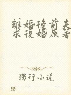 离婚后前夫哭着求复婚原著