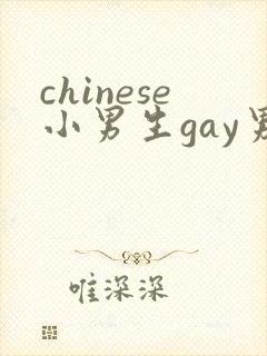 chinese小男生gay男男网站封面