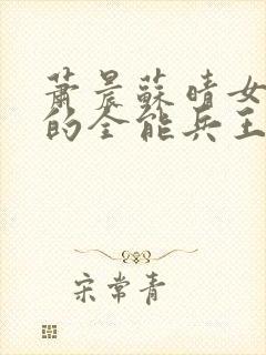 萧晨苏晴女总裁的全能兵王
