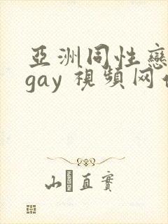 亚洲同性恋男 gay 视频网站