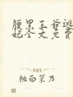 腹黑王爷逃跑王妃全文免费封面