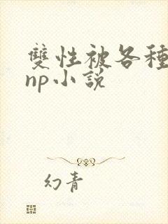 双性被各种淫玩np小说