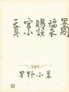 天官赐福墨香铜臭小说未删版全文封面