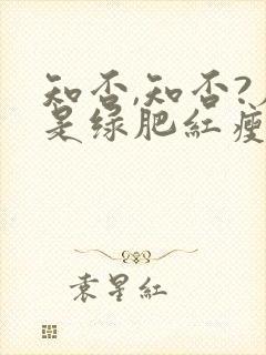 知否,知否?应是绿肥红瘦原著小说