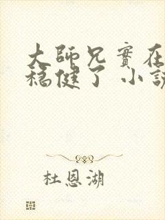 大师兄实在是太稳健了 小说封面