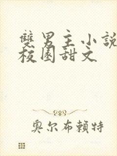 双男主小说推荐校园甜文