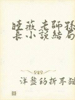 晓薇老师孙燕校长小说结局
