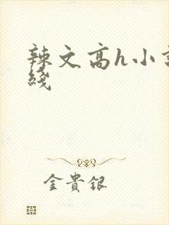 辣文高h小说在线封面