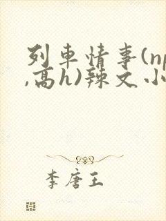 列车情事(np,高h)辣文小