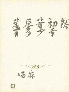 叶辰萧初然全书有多少章