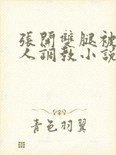 张开双腿被四个人调教小说