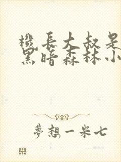 机长大叔是饿狼黑暗森林小说